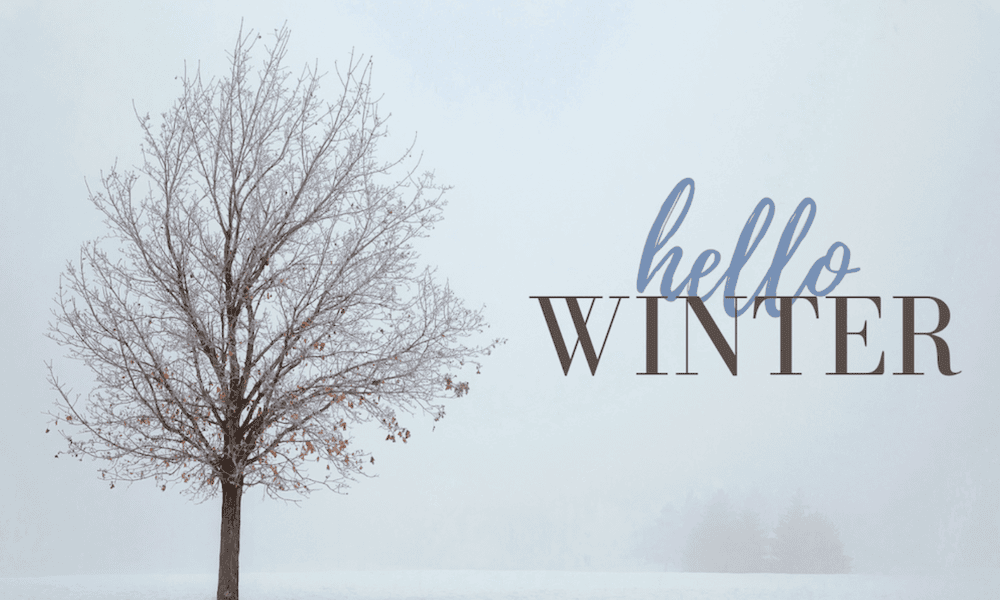 Blog Post - Winter Wise - Navigating the Chill with Clever Tips for Safety and Sanity